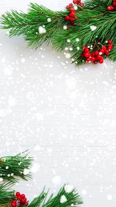 christmas tree branches with red berries and snow flakes on white wooden background, top view