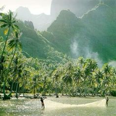 two people are standing in the water near some palm trees and mountain range behind them