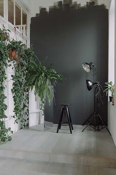 an empty room with plants on the wall and a lamp in the corner next to it