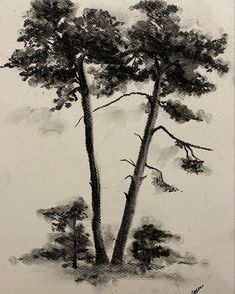 Australian bush charcoal drawing Charcole Sketch, Charcoal Artwork, Australian Trees, Art Charcoal, Native Australians, Portraiture Drawing, Aesthetic Pastel, Tree Drawing, Nature Study