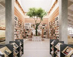 an empty library with many bookshelves and a tree in the middle is shown