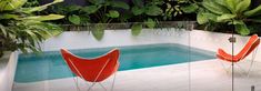 two orange chairs sitting in front of a pool surrounded by green plants and greenery