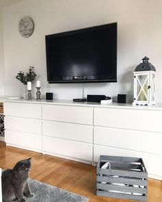 a cat sitting on the floor in front of a flat screen tv and entertainment center