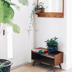 a plant is sitting on a table next to a mirror