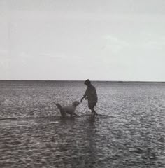 a person and their dog in the water