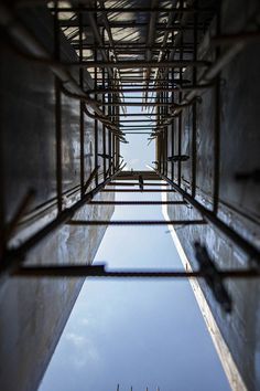 the reflection of trees in water is seen through an iron grating structure that looks like it's floating on land