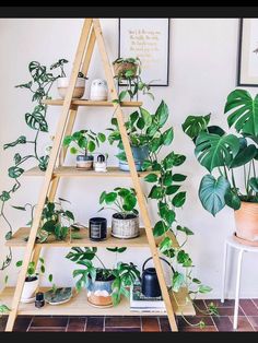 a wooden shelf filled with potted plants next to a wall mounted planter on top of a tiled floor