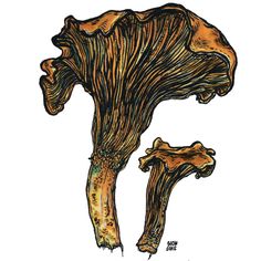 a drawing of a mushroom with brown and yellow colors