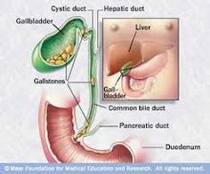 Life would be more interesting if you read this information	http://www.frienditeplus.com/profile/616043# Nuclear Medicine, Human Body Anatomy, Medical Anatomy, Body Anatomy, Medical Knowledge