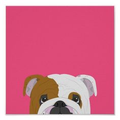 a happy 1st birthday card with an image of a bulldog's face on a pink background