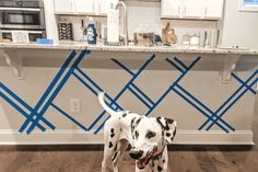 a dalmatian dog standing in front of a kitchen counter with blue lines painted on it