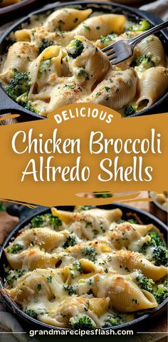 chicken broccoli alfredo shells in a cast iron skillet with text overlay