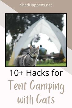 a cat standing in the grass with text overlay that reads 10 + hacks for tent camping with cats