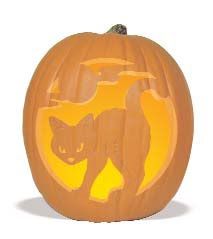 a carved pumpkin with an image of a cat on it's front and side