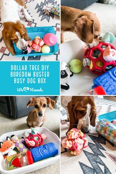 a collage of photos with dogs and toys