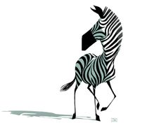 a zebra is running with its head turned to the side and it's tail up