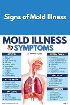 We’ve been told that mold is not really a problem unless it’s visible black mold. Or that mildew is the safe kind of mold. ⚠️What I’m finding is that the mold story is similar to how red meat has become demonized. (It’s a lie)… Any water damage that creates biotoxins is hazardous to health. | mold illness | mold illness symptoms | signs of mold illness | mold illness treatment | cirs mold illness | mold illness diet | diet for mold illness | cirs mold illn Mold Illness, Muscle Twitching, Chronic Cough, Frequent Urination, Sinus Congestion, Asthma Symptoms, Light Sensitivity