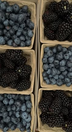 four baskets filled with blueberries and blackberries