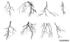 the branches of trees without leaves on a white background