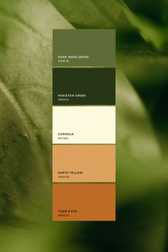 Paleta de color verde inspiración 
Natural 
café verde claro verde oscuro blanco amarillo y café
con fondo naturaleza Dark Green And Tan Color Palette, Green Brown Pallet, Dark Green Room Palette, Complementary Colors To Dark Green, Green Yellow And Brown Color Palette, Olive Green And Tan Color Palette, Army Green Colour Combination, Terracotta And Olive Green Color Palette, Natural Green Palette