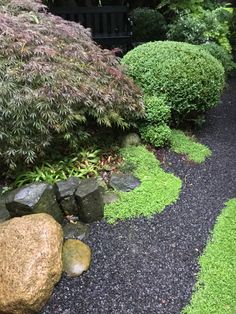 some rocks and plants in the middle of a path with moss growing on it's sides