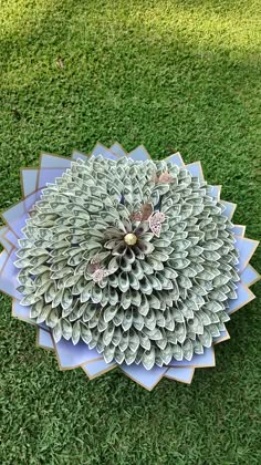 a bunch of flowers that are in the grass on some grass with one large flower surrounded by smaller ones