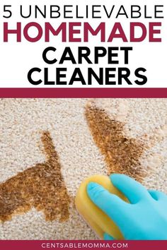 the words 5 unbelievable homemade carpet cleaners are shown in front of a hand with a sponge