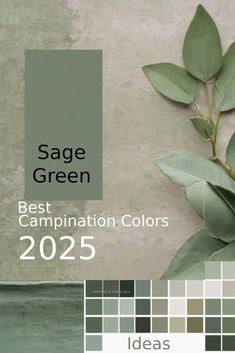 the sage green color scheme is featured on this page