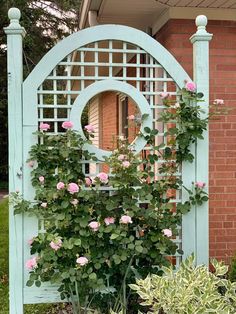 pink roses are growing on the side of a blue trellis in front of a brick building