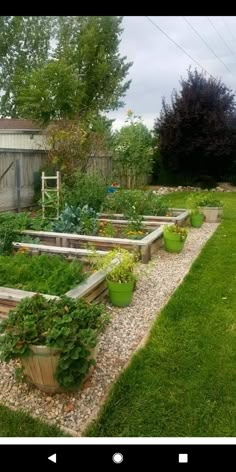 a garden with lots of plants in it