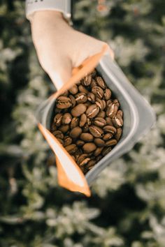 someone holding up a bag full of coffee beans in their left hand, with the top half open