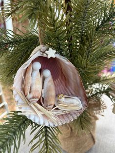 an ornament hanging from a christmas tree filled with shells and seashells