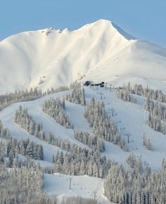 a ski slope with trees and snow covered mountains in the background