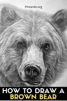 a drawing of a brown bear with the words how to draw a brown bear on it