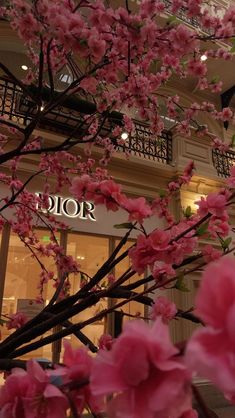 pink flowers are blooming in front of a storefront with the word dior on it