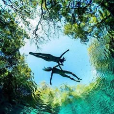 two people are swimming in the clear blue water, with trees and sky above them