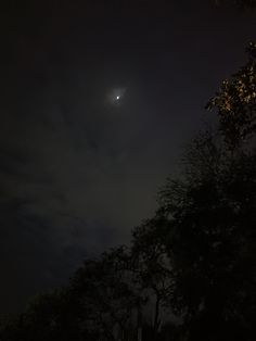 the moon shines brightly in the night sky above some trees and bushes on a dark, dreary day