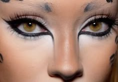 Cat Eye Makeup For Halloween, Panther Halloween Costume Makeup, Cute Lion Makeup, Holloween Makeup Cat, Leopard Spots Makeup, Halloween Lion Makeup, Basic Cat Makeup, Cat Woman Makeup Look, Egyptian Cat Makeup