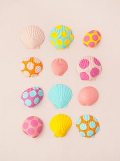 colorful seashells are arranged on a white surface