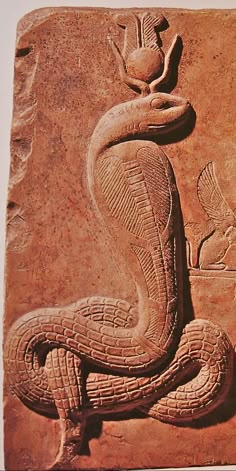 an ancient bask with a snake on it's back