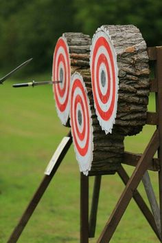 three wooden arrows with bulls on them in front of a green field and some trees