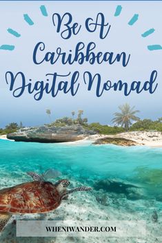 a turtle swimming in the ocean with text overlay that reads be a caribbean digital nomad