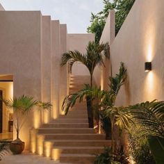 an outdoor area with stairs, plants and lights