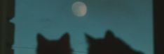 the silhouettes of three cats are shown in front of a full moon and blue sky