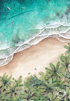 an aerial view of the beach with palm trees and surfers in the water, from above