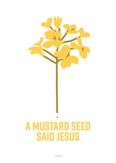 a mustard seed plant with the words, a mustard seed said jesus