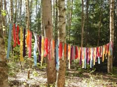 colorful streamers hanging from trees in the woods