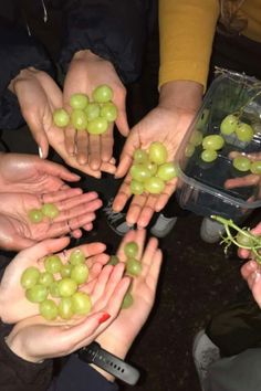 several people are holding grapes in their hands