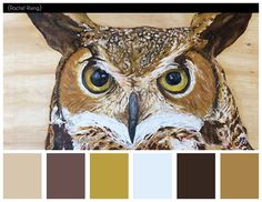 an owl with yellow eyes is shown in the color palette, and it appears to be painted on wood