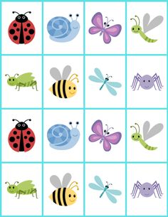 an insect and bug matching game for kids